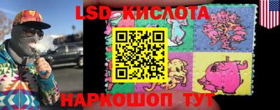 a pvp Берёзовский